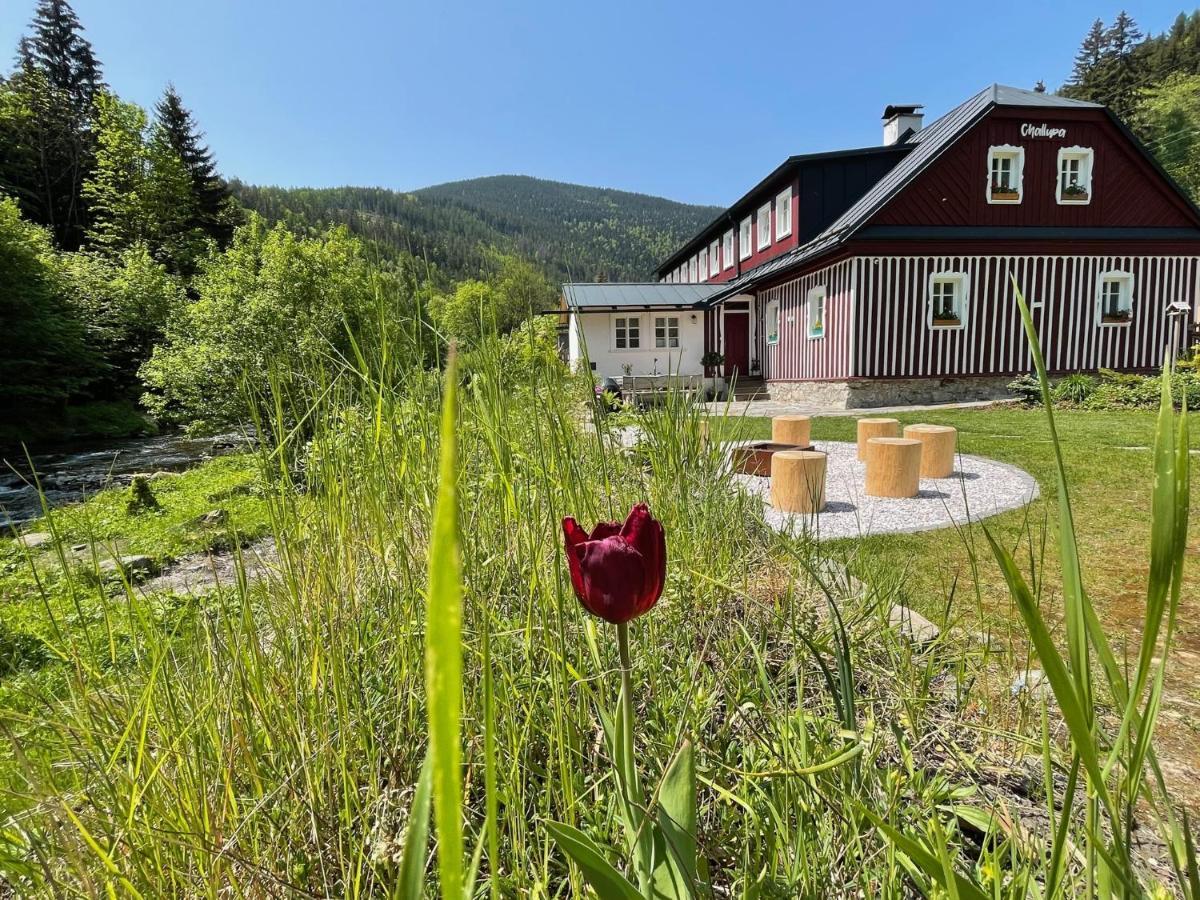 Apartmany Challupa Horni Marsov Exterior photo